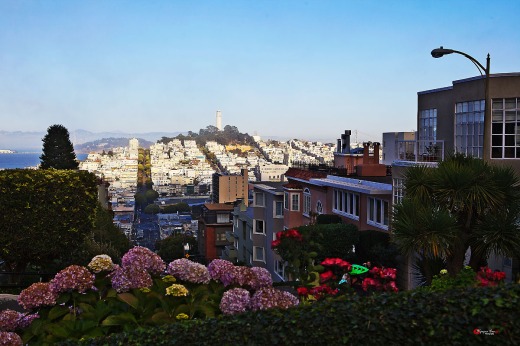 002 Lombard Street San Francisco